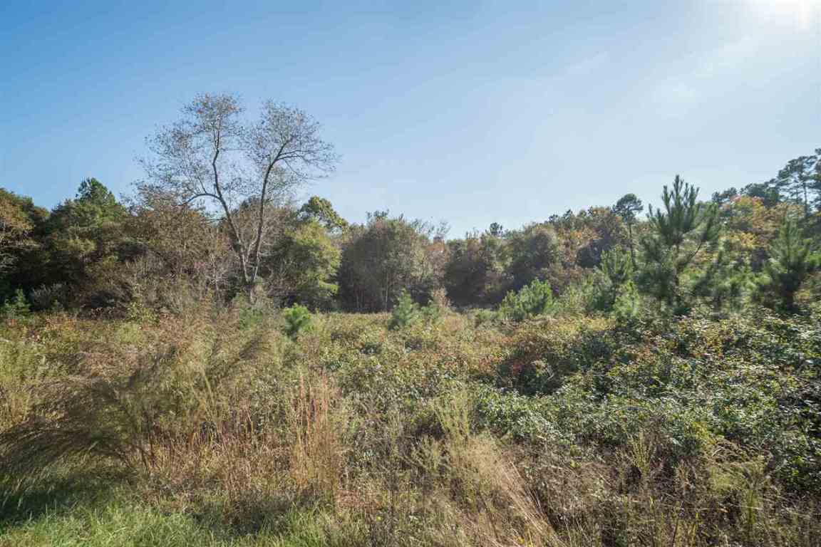 0 St Paul Road, Unit 30 49 ACRES Easley, SC 29642 - Photo 3 of 16
