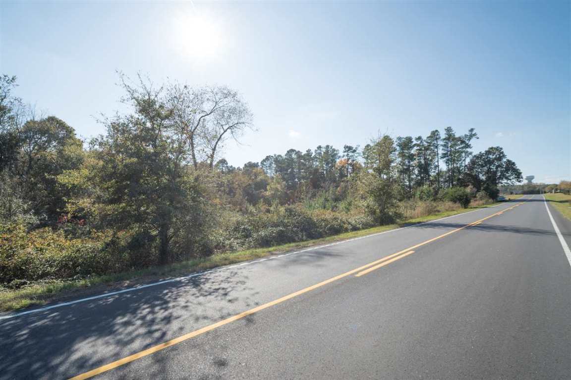 0 St Paul Road, Unit 30 49 ACRES Easley, SC 29642 - Photo 5 of 16
