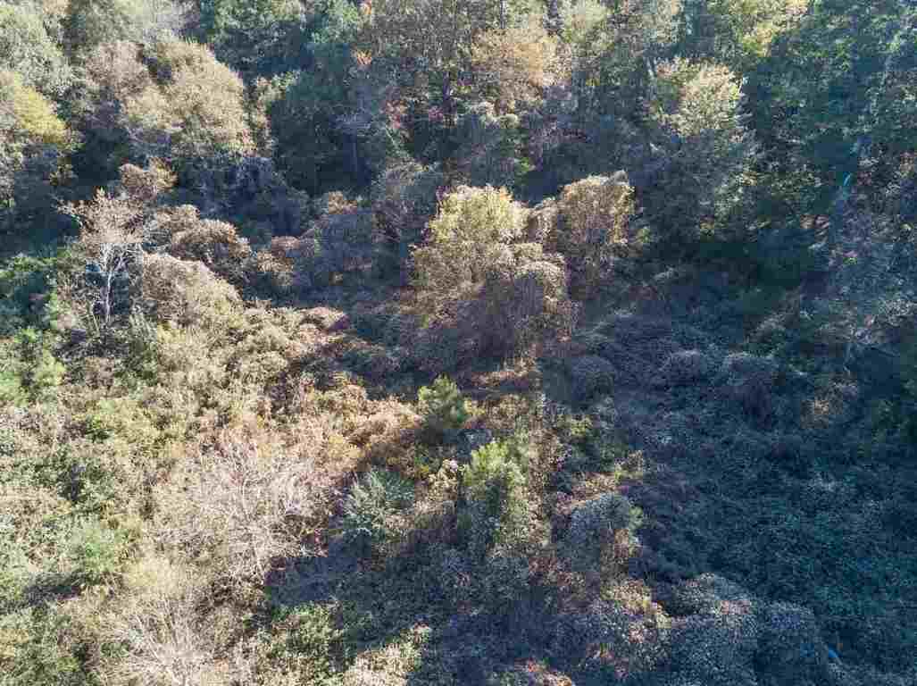 0 St Paul Road, Unit 30 49 ACRES Easley, SC 29642 - Photo 6 of 16