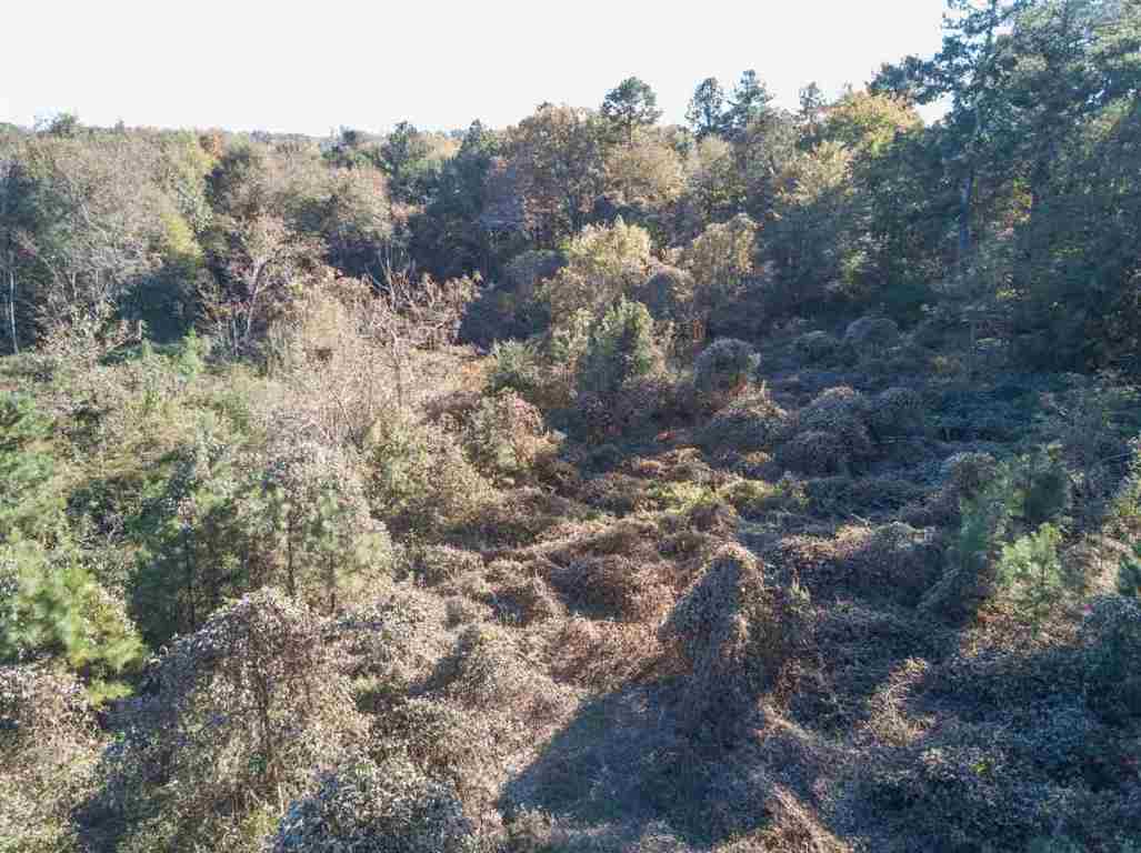 0 St Paul Road, Unit 30 49 ACRES Easley, SC 29642 - Photo 9 of 16