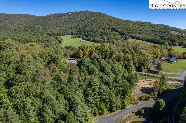 a view of a forest with a mountain in the background