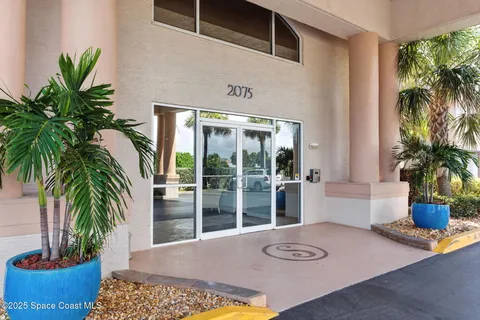 a view of a living room and a potted plant