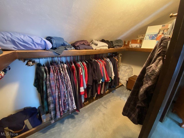 183 Trails End Road Toronto, OH 43964 - Photo 18 of 25 Spacious closet featuring light colored carpet and vaulted ceiling