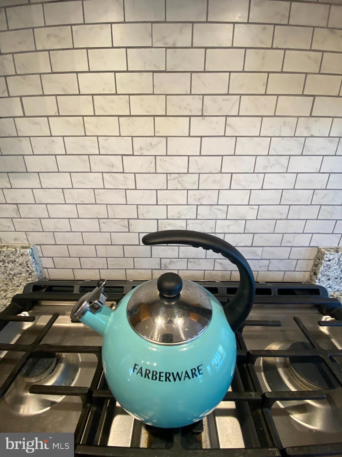16424 Wayland Road Culpeper, VA 22701 - Photo 30 of 111 Newer Backsplash!
