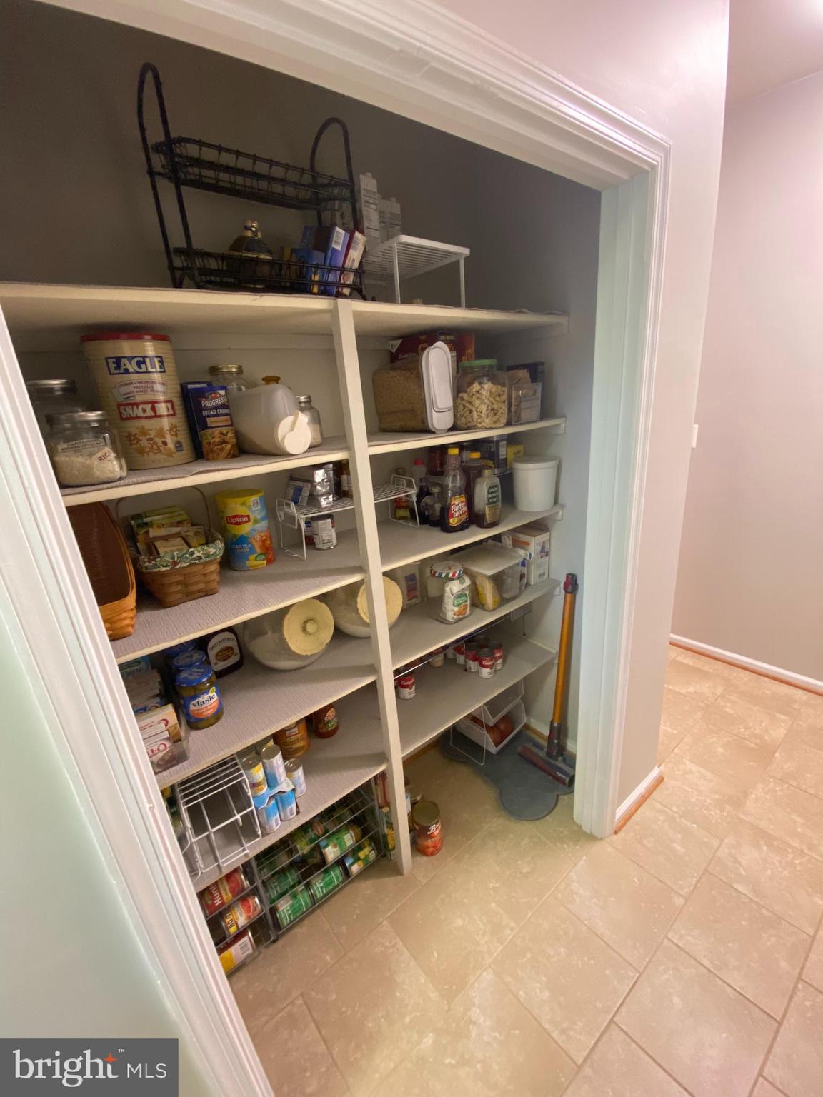 16424 Wayland Road Culpeper, VA 22701 - Photo 55 of 111 YES! TWO Pantries!