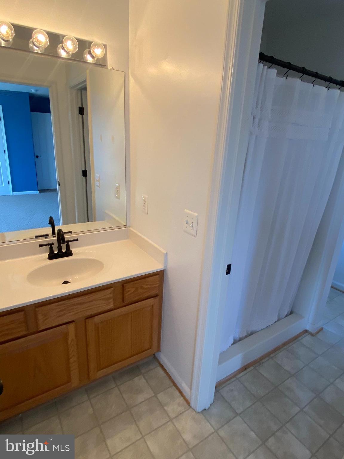 16424 Wayland Road Culpeper, VA 22701 - Photo 64 of 111 Each Bedroom has it's Own Vanity!
