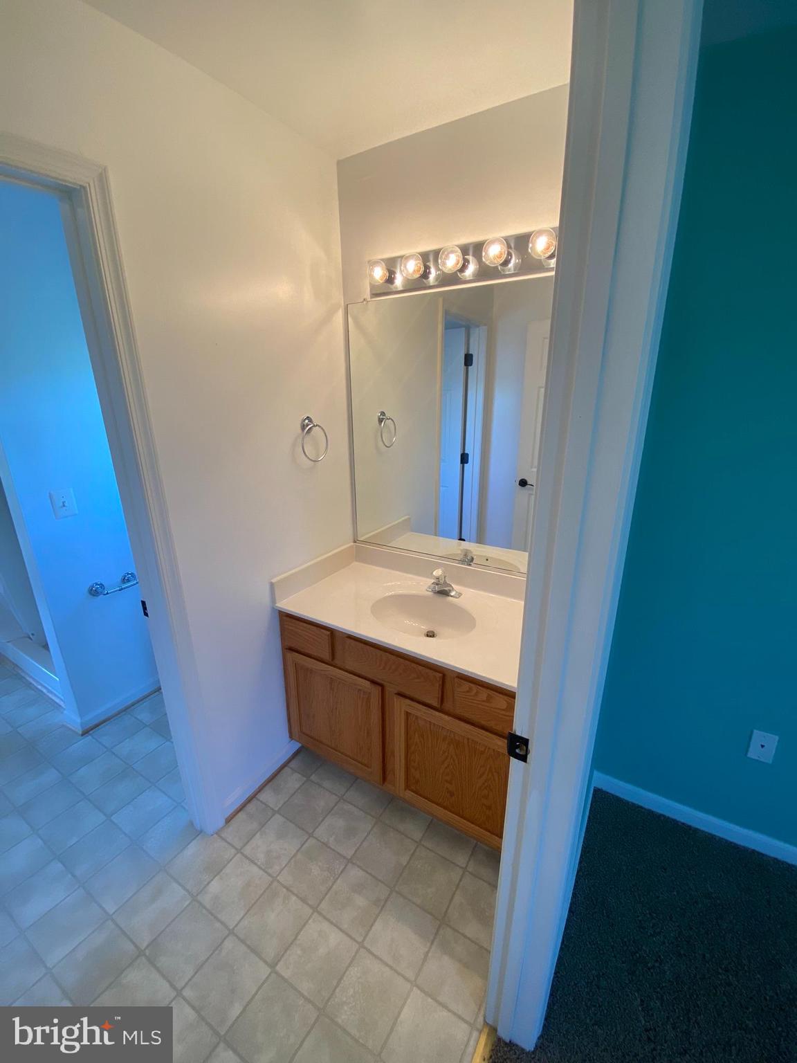 16424 Wayland Road Culpeper, VA 22701 - Photo 67 of 111 Separate Vanity as well!