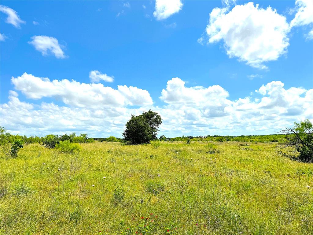 2121 Fm-52 Perrin, TX 76486 - Photo 5 of 12
