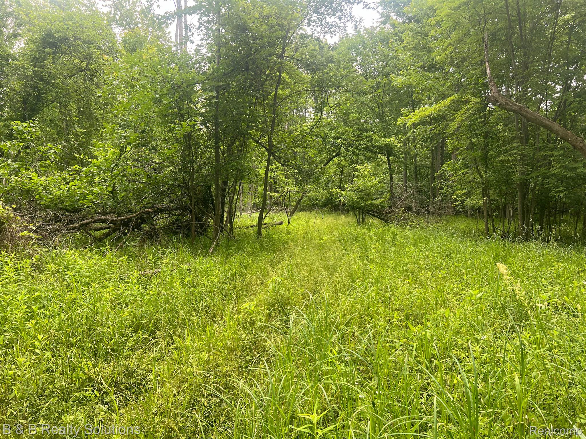 0 Ducker Road North Branch, MI 48461 - Photo 14 of 44 Gallery Image 14