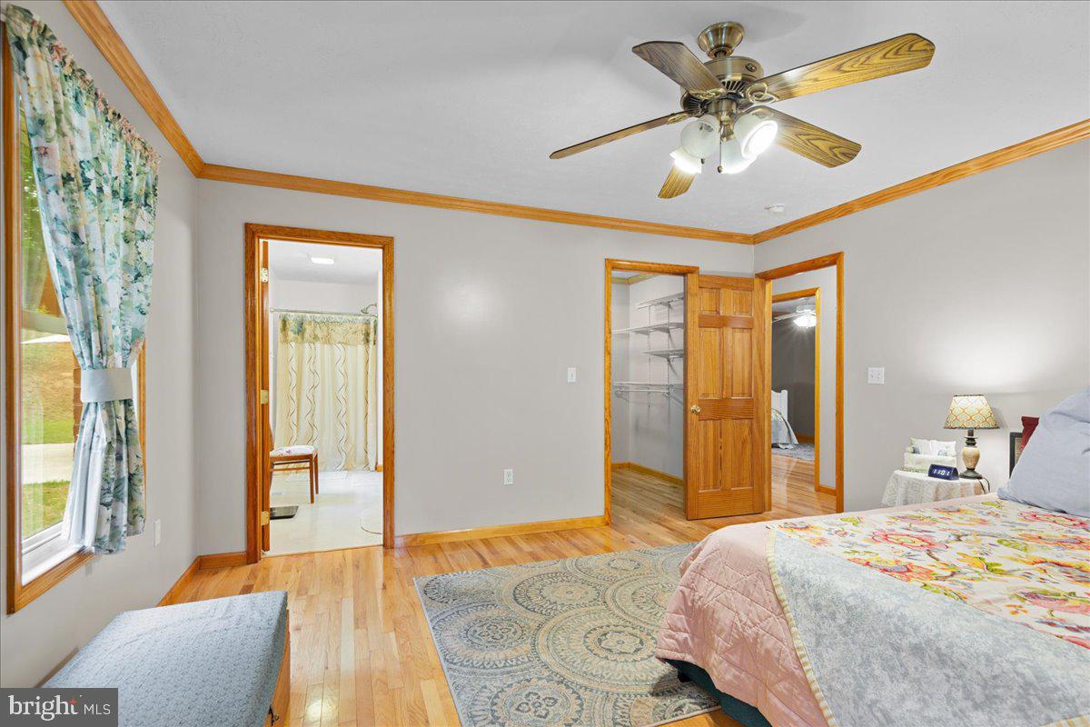 906 Cauthorn Mill Road Middletown, VA 22645 - Photo 23 of 47