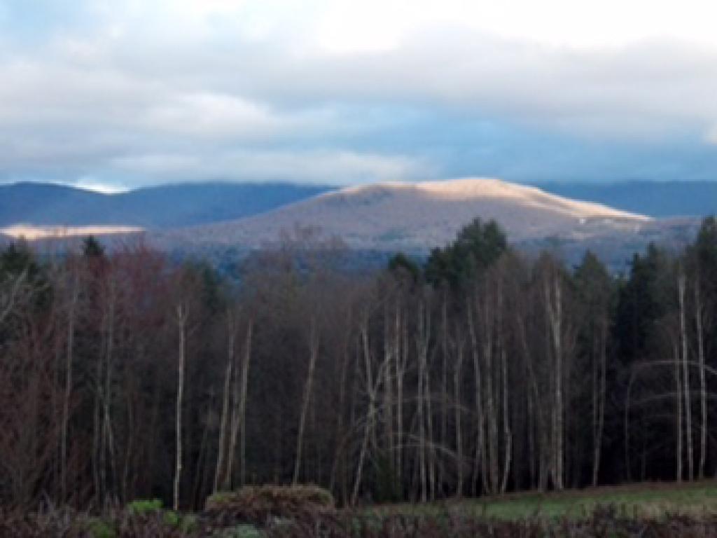 167 East Tamarack Road Stowe, VT 05672 - Photo 35 of 35 Gallery Image 35