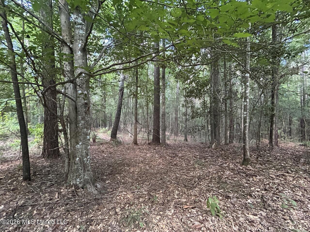 1669 Burt Jordan Road McCall Creek, MS 39647 - Photo 32 of 40 IMG_5806 Large