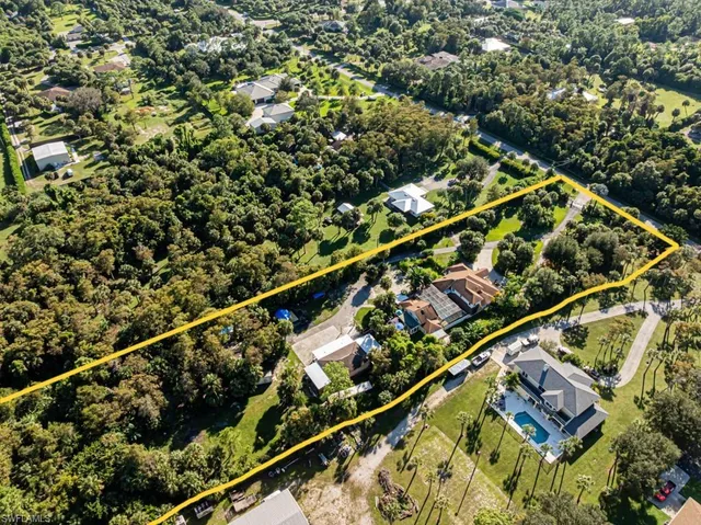 a view of a yard with plants and trees