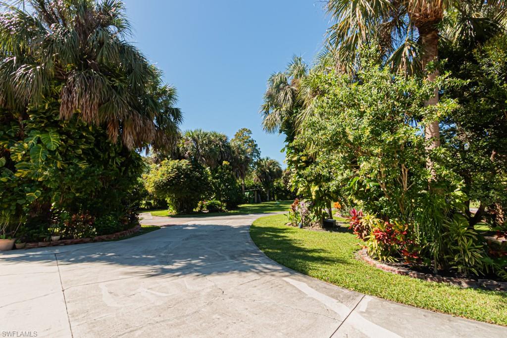 740 31st Street Southwest Naples, FL 34117 - Photo 7 of 50 a view of a yard with plants and trees