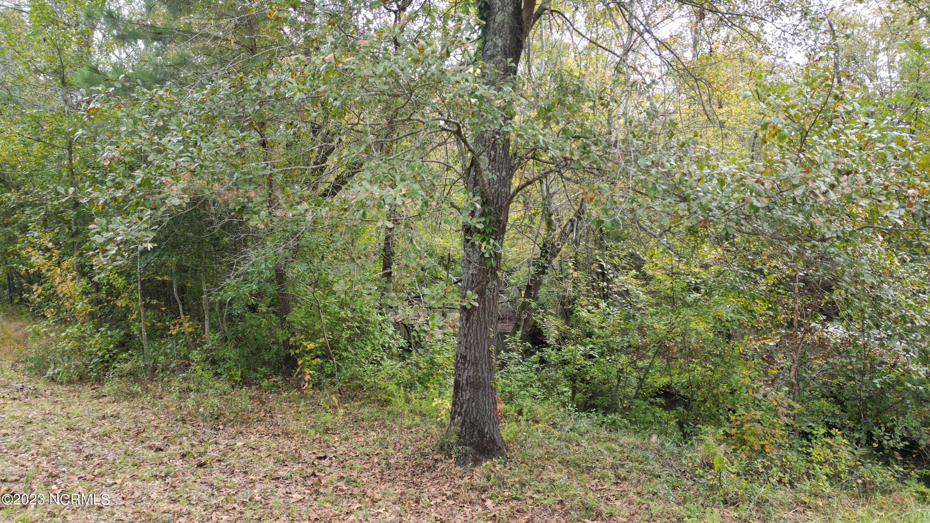 18.33-acre McPherson Road Vass, NC 28394 - Photo 20 of 39 DJI_0121