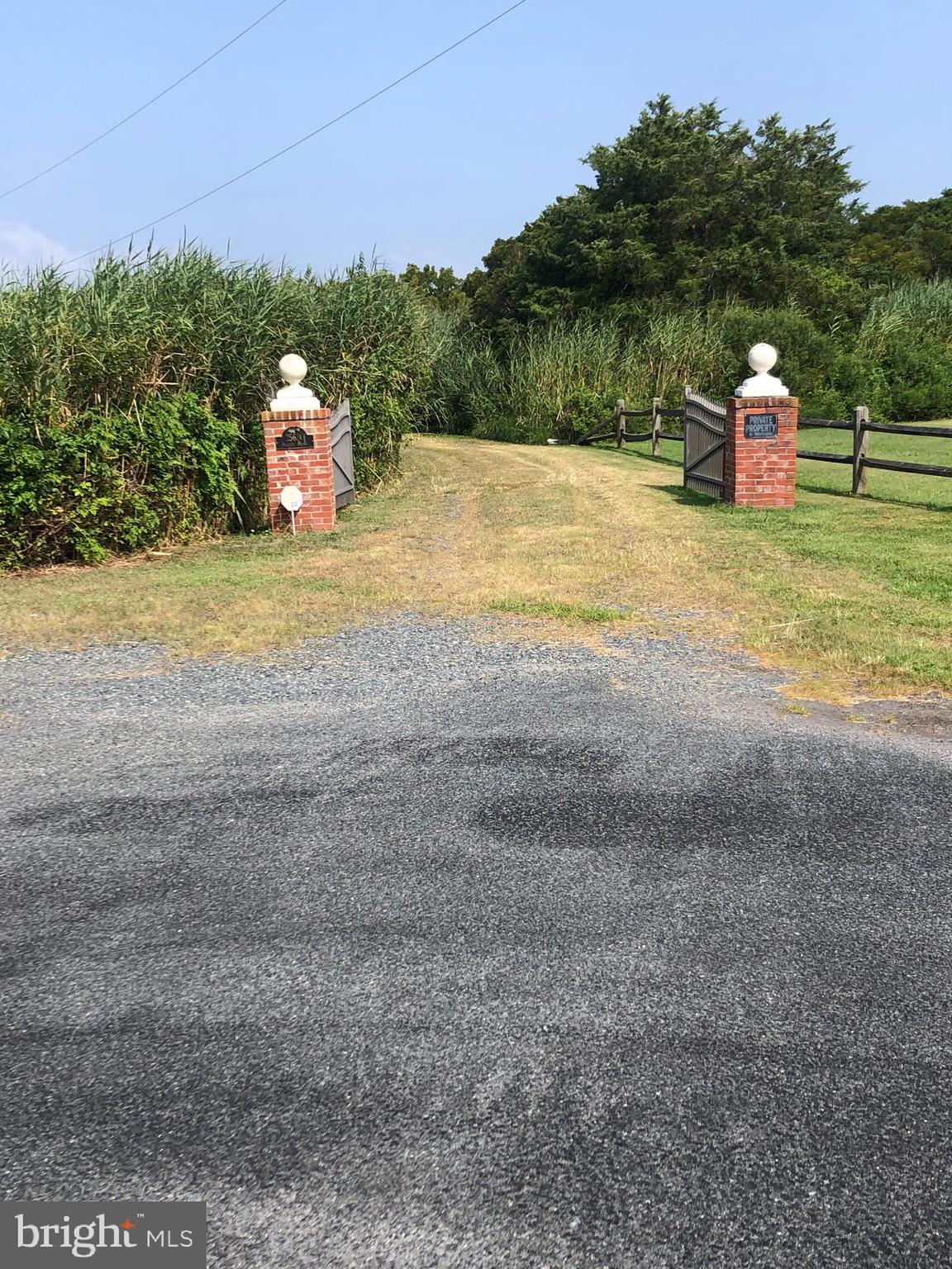 25630 Frenchtown Road Westover, MD 21871 - Photo 7 of 36 Entrance to the private lane.