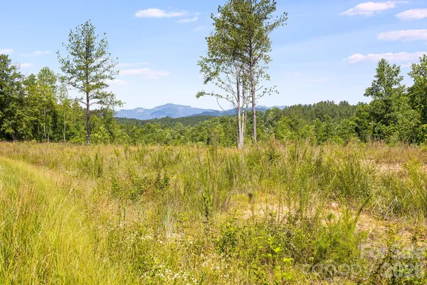 $40,000 | Lot #2 Clark Road, Rutherfordton, NC 28139