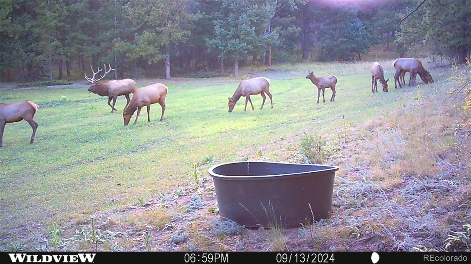 26545 Richmond Hill Road Conifer, CO 80433 - Photo 18 of 33