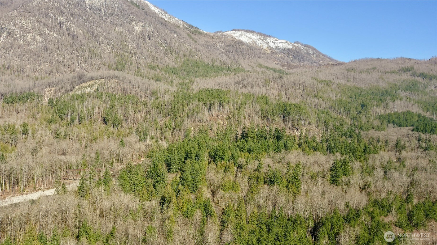 69022 Northeast Lowe Creek Road Skykomish, WA 98288 - Photo 27 of 40