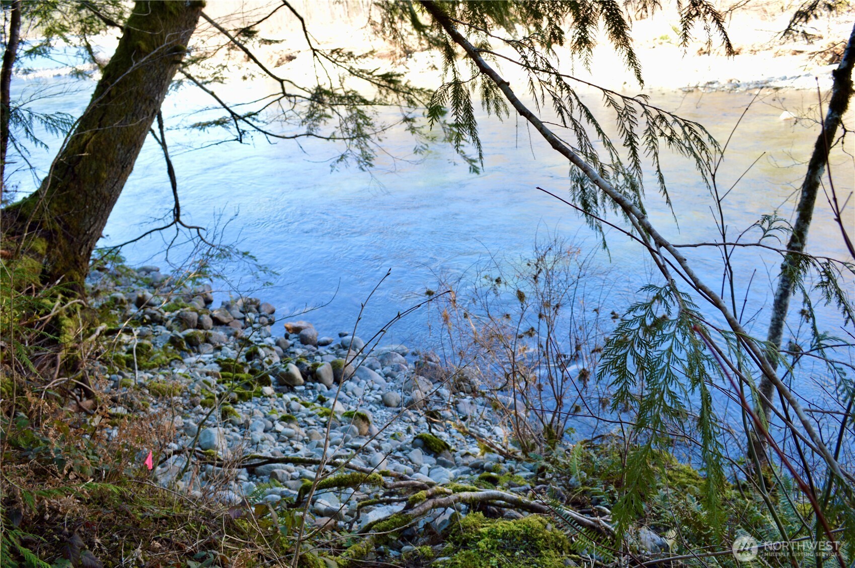 69022 Northeast Lowe Creek Road Skykomish, WA 98288 - Photo 8 of 40