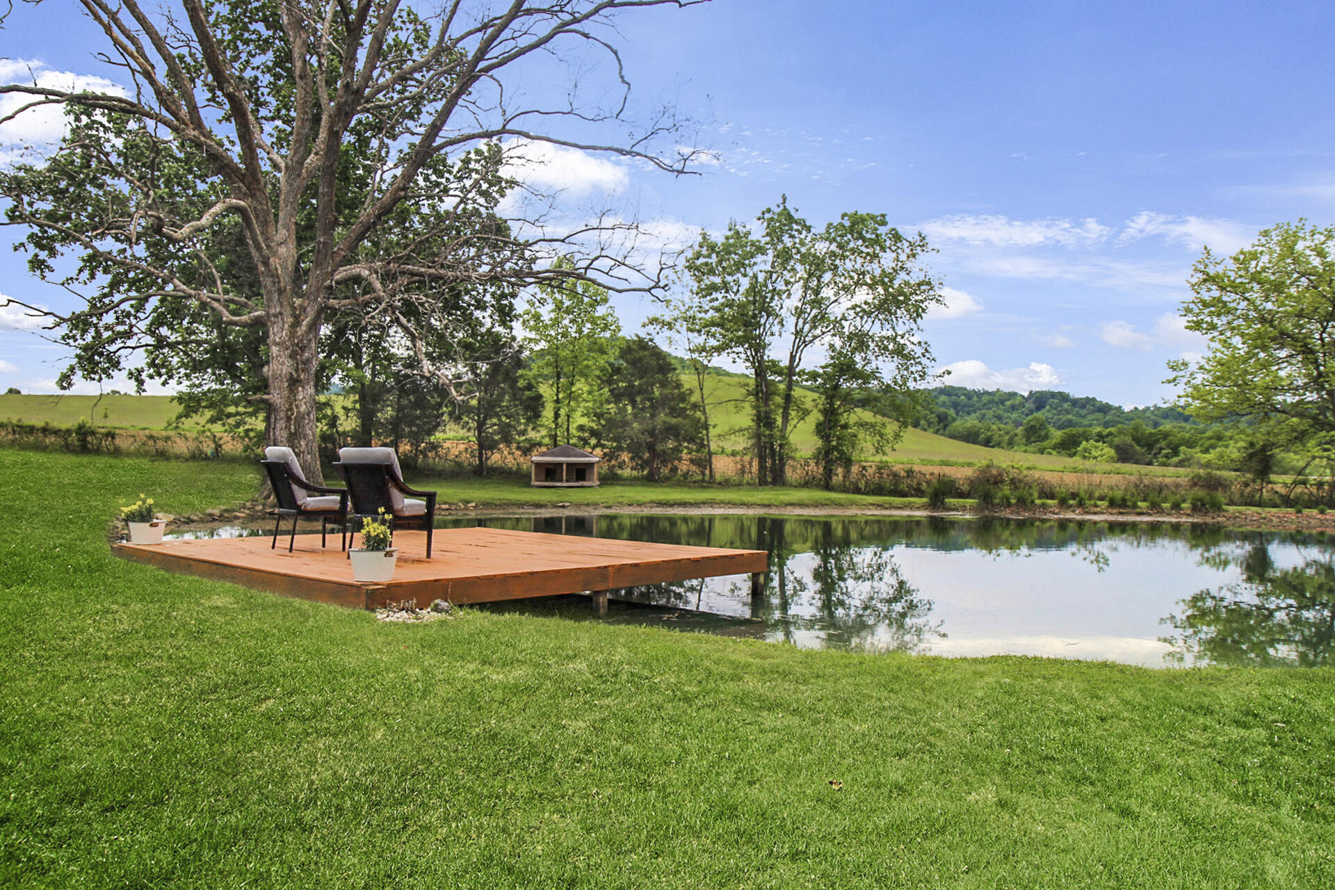 Pond view