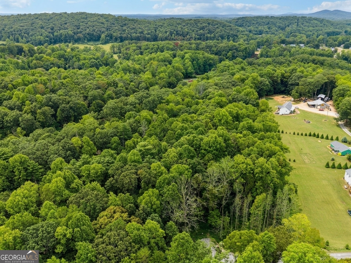 380 Guy Wimpy Road, Unit LOT 2 Dahlonega, GA 30533 - Photo 23 of 23