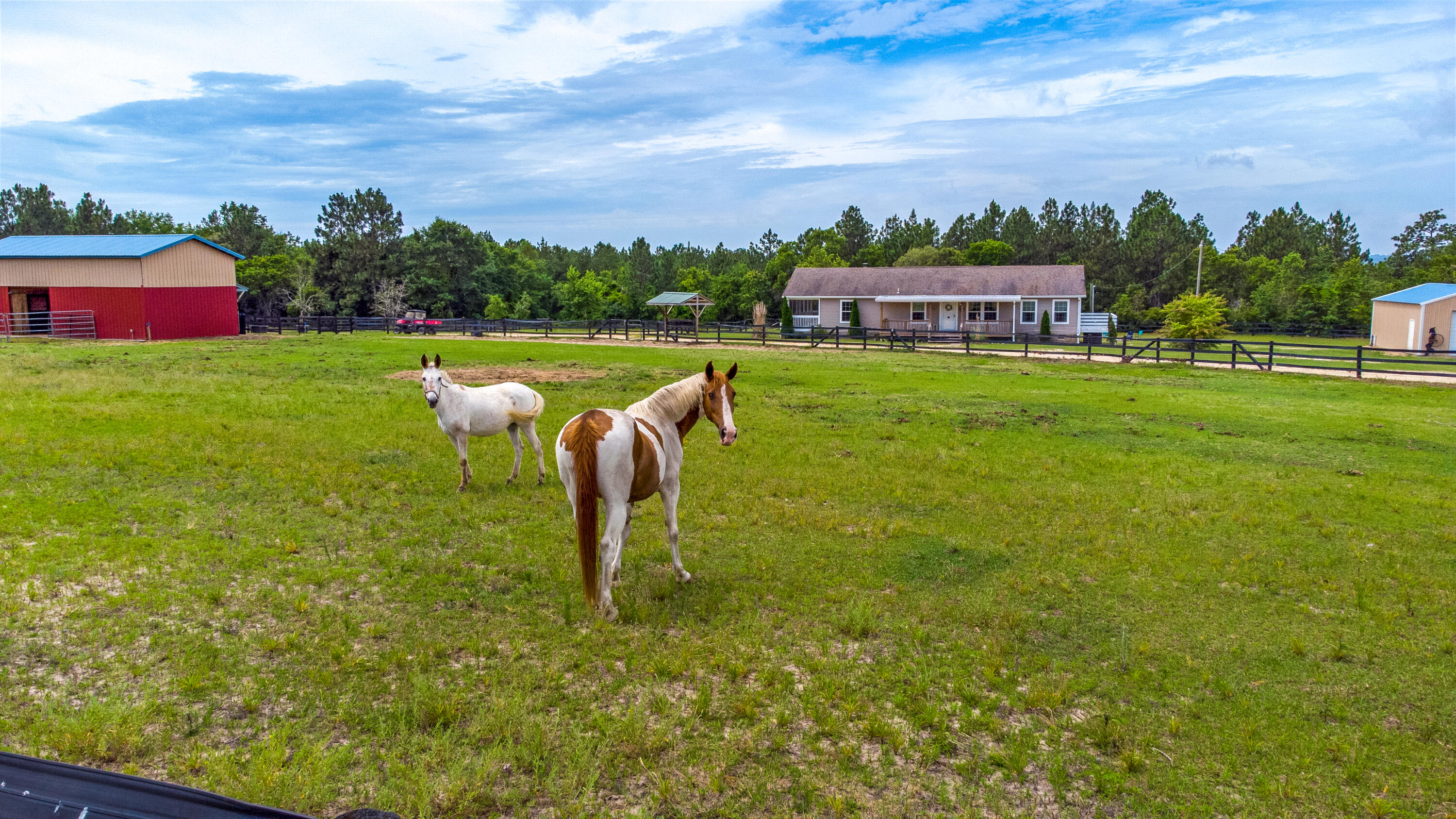 205 Moore Road Aiken, SC 29805 - Photo 40 of 44