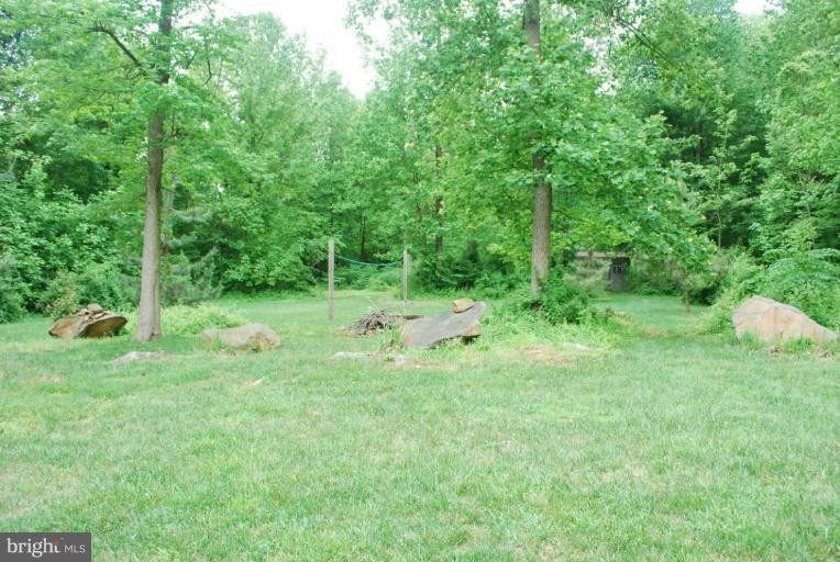 3845 West Chapel Road Aberdeen, MD 21001 - Photo 6 of 28 Trees