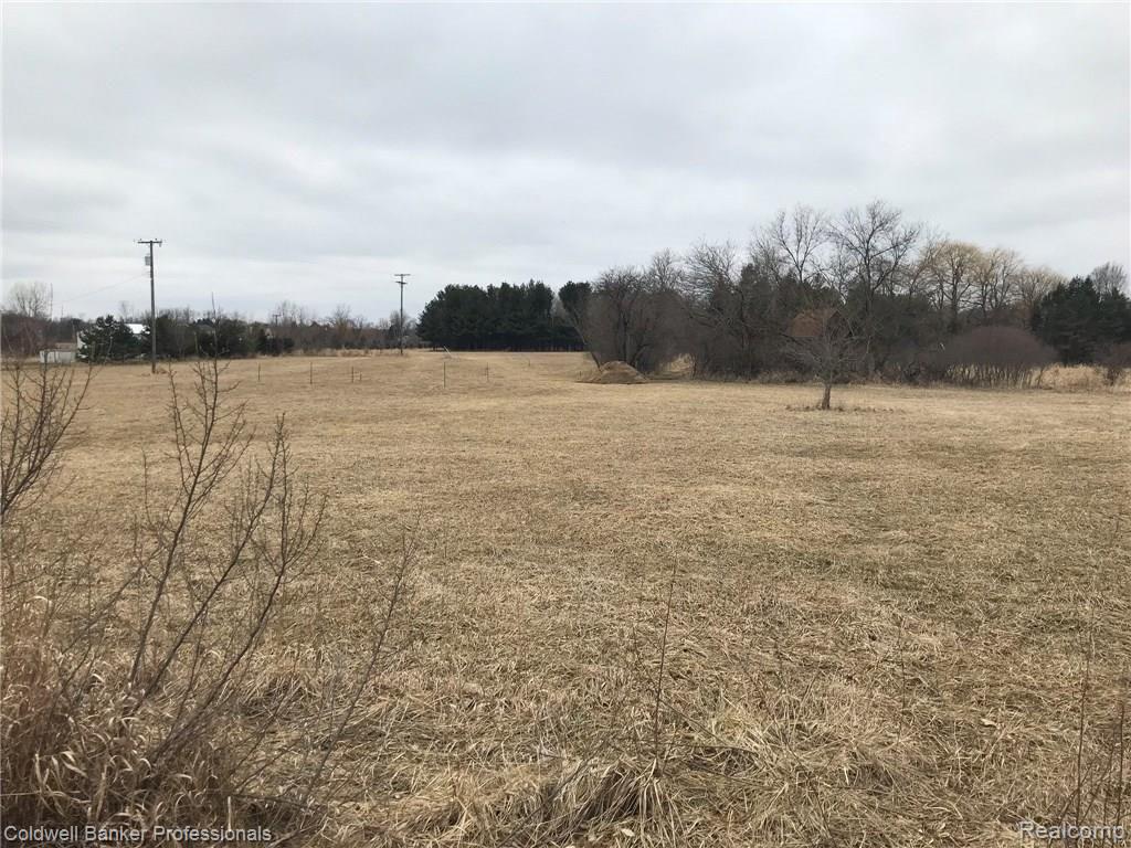 0 Hayden Road Attica, MI 48412 - Photo 6 of 7