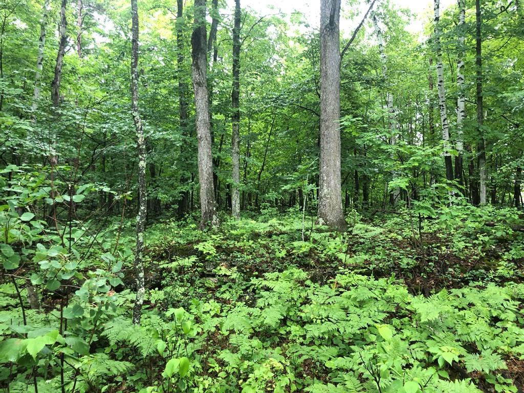 F1-d2 Timber Ridge Road Sturgeon Bay, WI 54235 - Photo 19 of 22