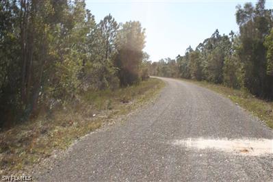 2503 Meadow Road Lehigh Acres, FL 33974 - Photo 2 of 4 a view of a dry yard with trees in the background