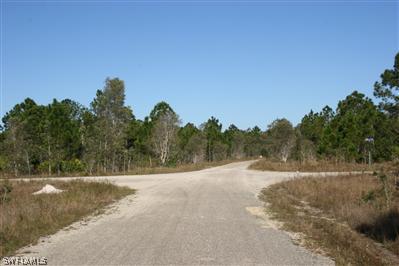2503 Meadow Road Lehigh Acres, FL 33974 - Photo 3 of 4 a view of a dry yard with trees in the background