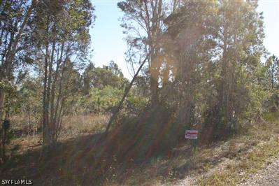 2503 Meadow Road Lehigh Acres, FL 33974 - Photo 4 of 4 a view of a forest