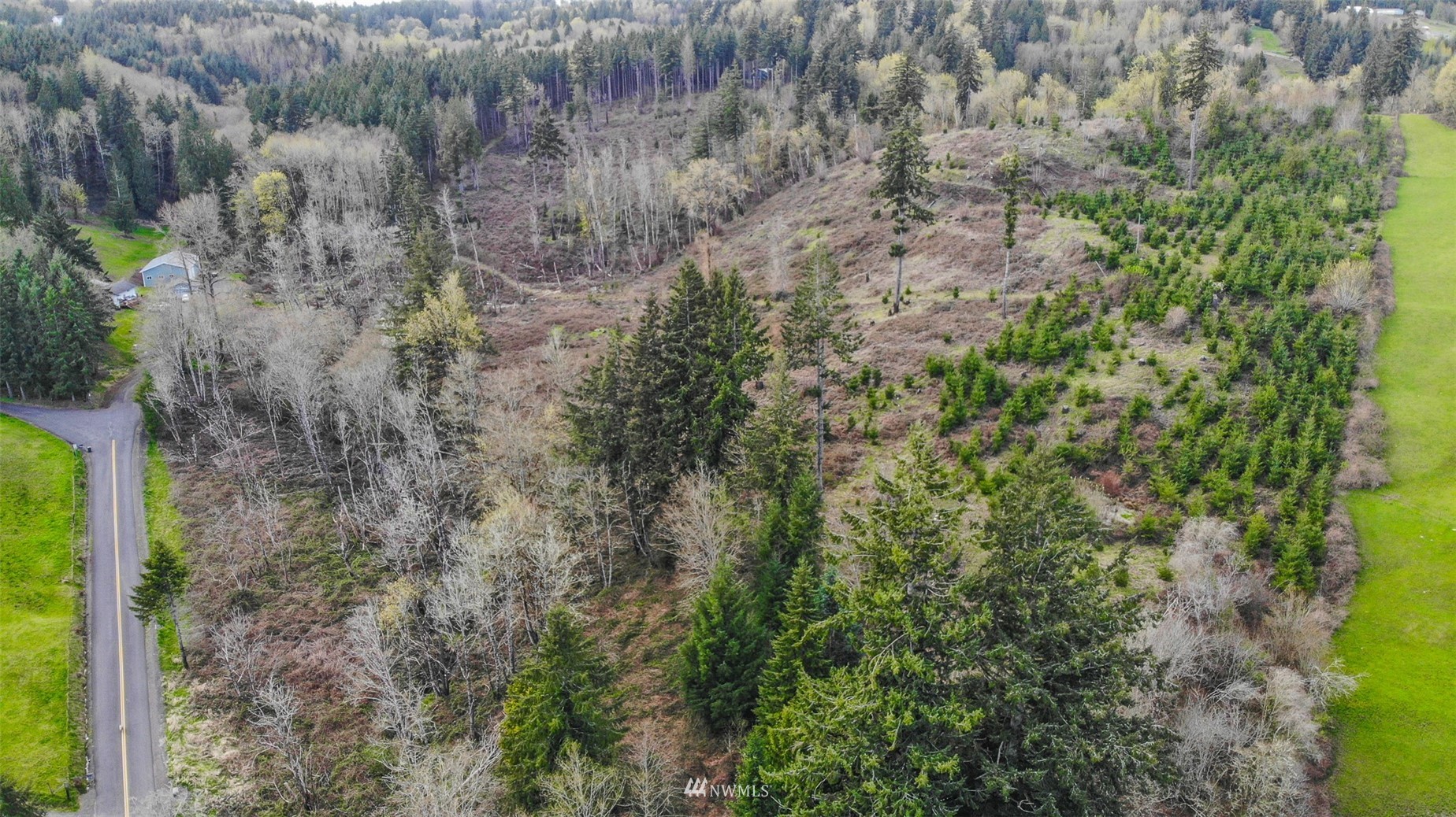 702 North Maple Hill Road Kelso, WA 98626 - Photo 12 of 14 Gallery Image 12