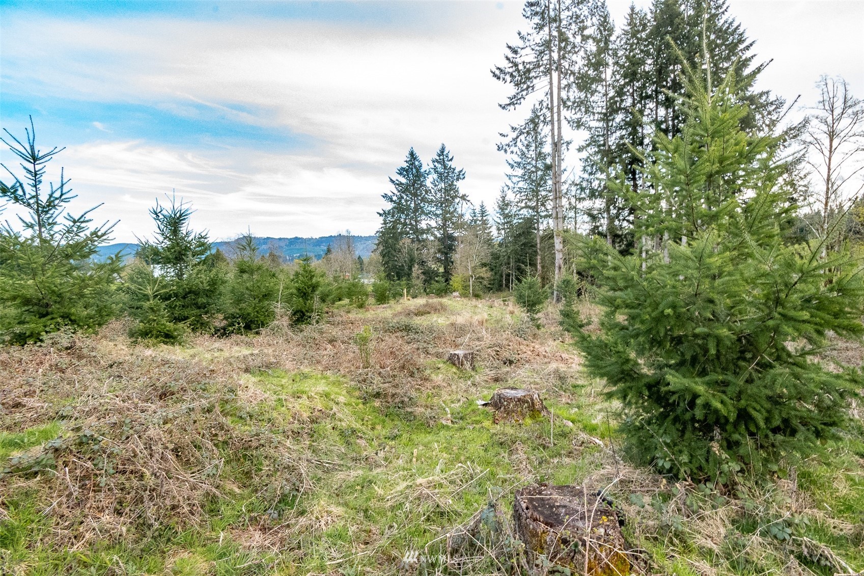 702 North Maple Hill Road Kelso, WA 98626 - Photo 5 of 14 Gallery Image 5