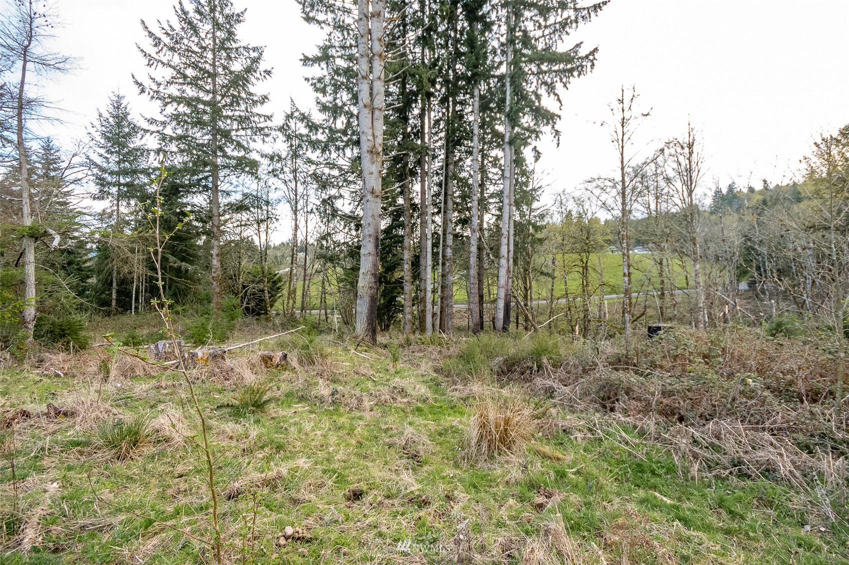 702 North Maple Hill Road Kelso, WA 98626 - Photo 6 of 14 Gallery Image 6