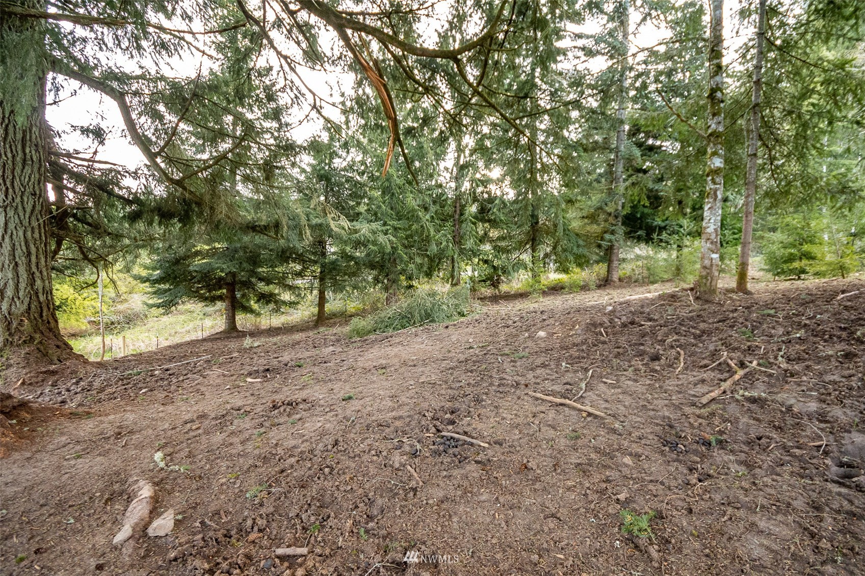 702 North Maple Hill Road Kelso, WA 98626 - Photo 8 of 14 Gallery Image 8
