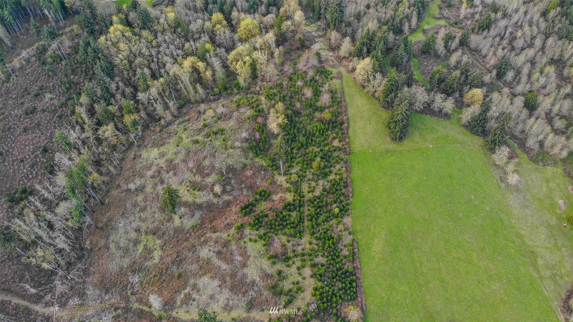 702 North Maple Hill Road Kelso, WA 98626 - Photo 10 of 14 Gallery Image 10