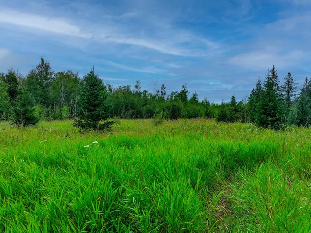 $47,900 | Xxxx West Riek Road, Cook, MN 55723