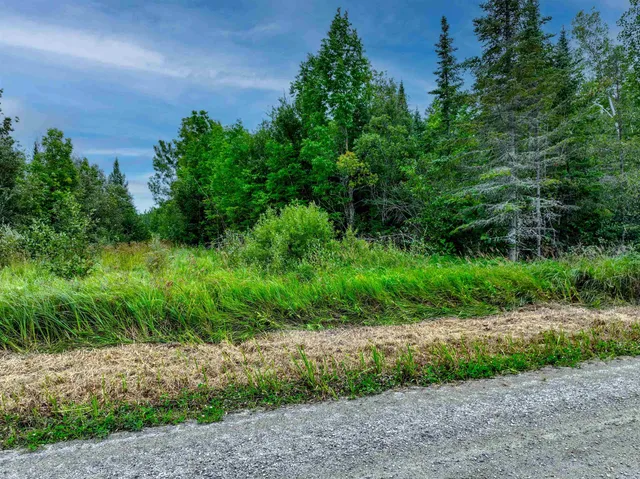 $47,900 | Xxxx West Riek Road, Cook, MN 55723