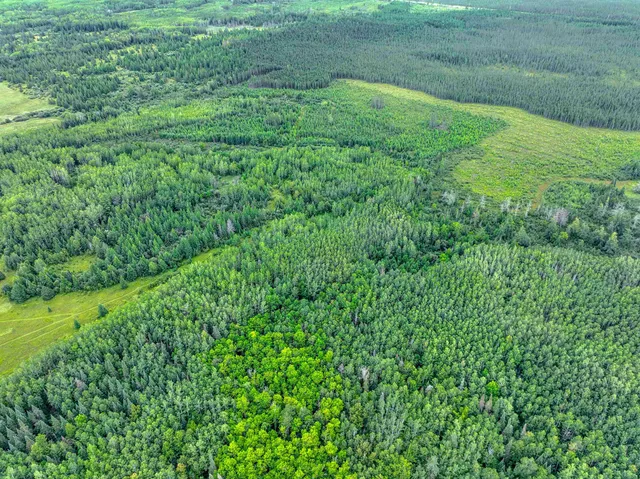 $47,900 | Xxxx West Riek Road, Cook, MN 55723