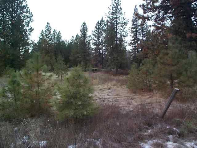 0 Tucker Prairie Cheney, WA 99004 - Photo 1 of 2 Gallery Image 1