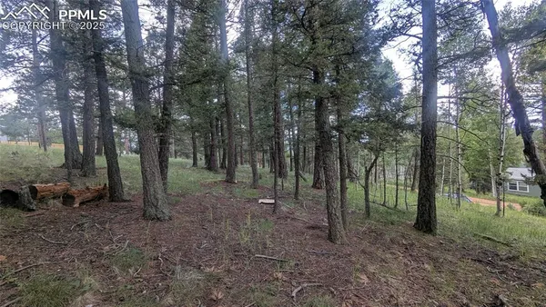 a view of outdoor space with green space