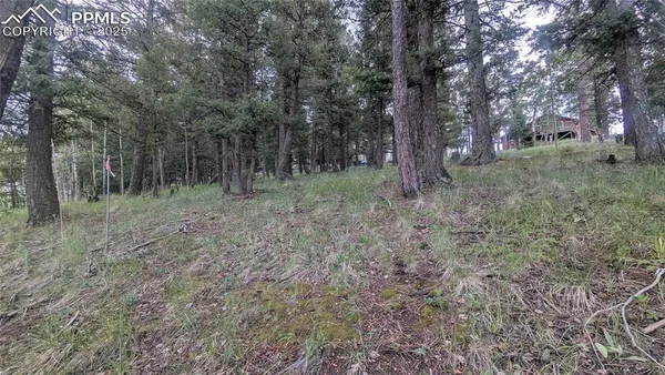 a view of outdoor space with trees