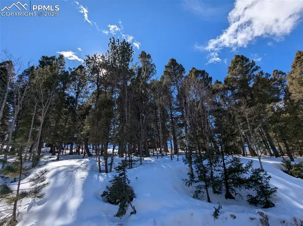 a view of a park with trees