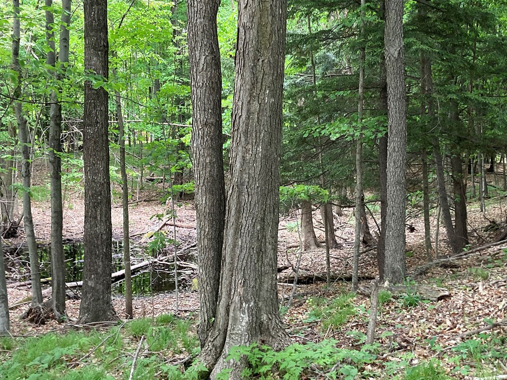 Lot 2 Kasmer Road Mishicot, WI 54228 - Photo 6 of 8