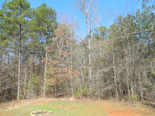 121 Dowdell Mill Road Hamilton, GA 31811 - Photo 17 of 19 Gallery Image 17