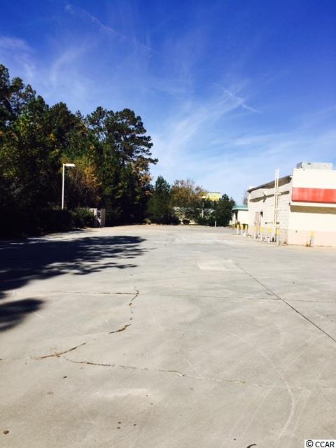 4625 Dick Pond Road Myrtle Beach, SC 29588 - Photo 10 of 13