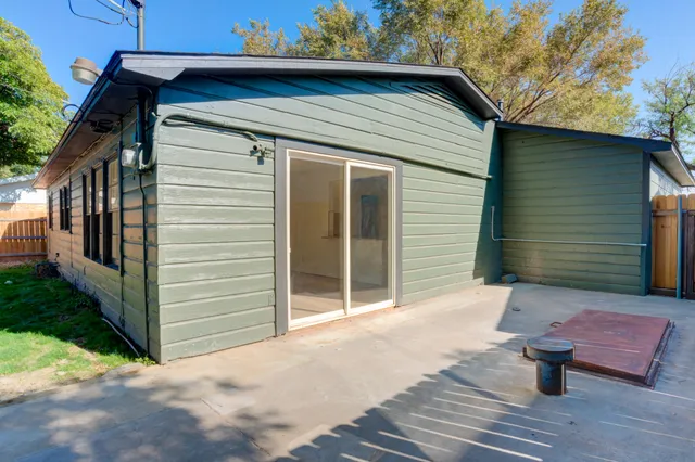 a view of a yard with plants and large trees
