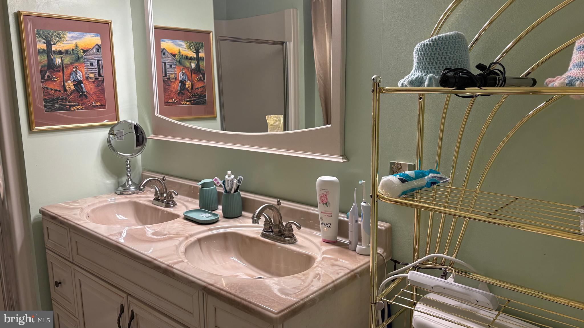 7502 Milligan Lane Clinton, MD 20735 - Photo 15 of 16 Primary Bathroom